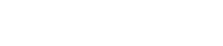 Eurofer Ferro e Aço
